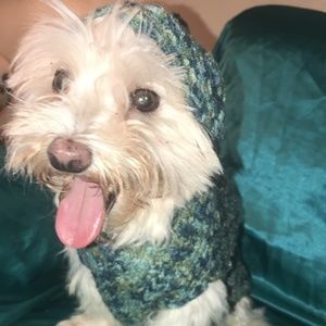 handmade dog sweater